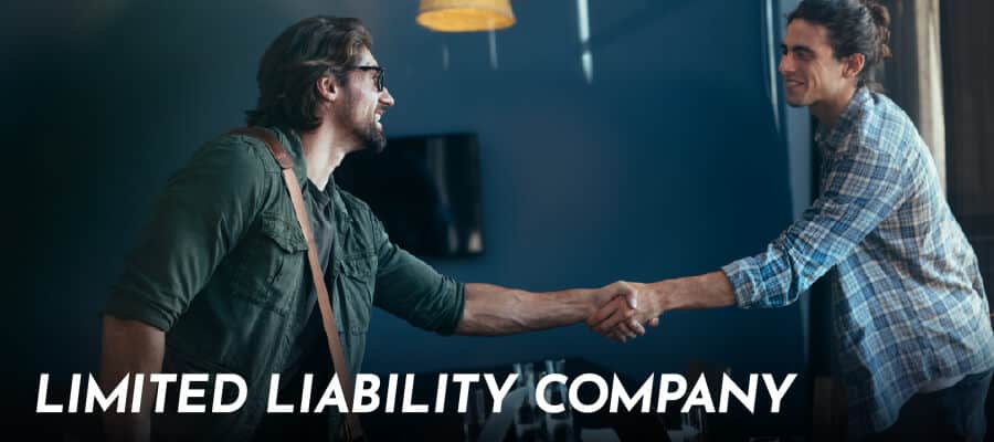 limited liability company