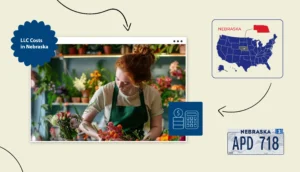 Nebraska LLC cost