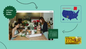 New Mexico LLC Cost